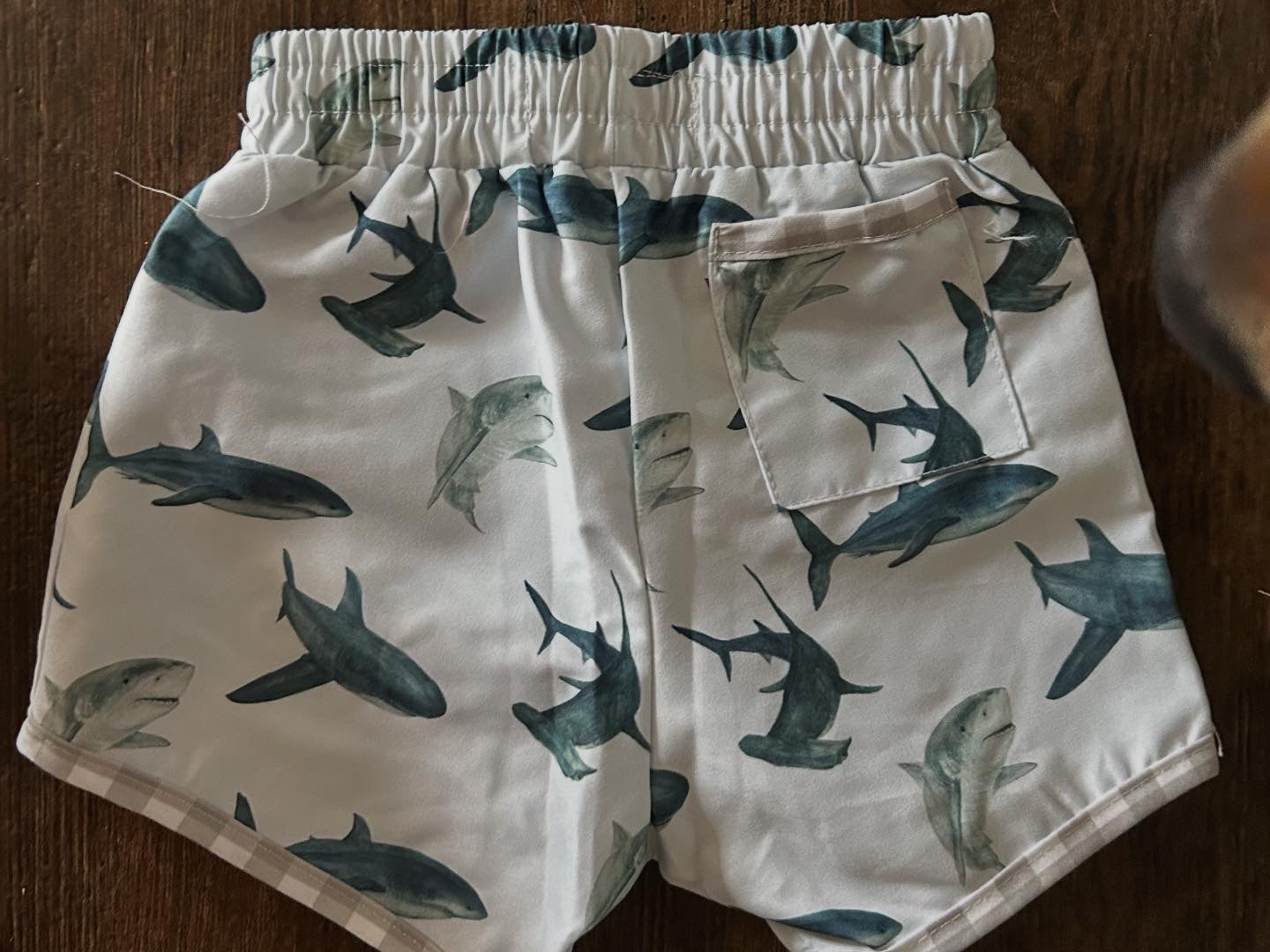 Shark Swim Shorts
