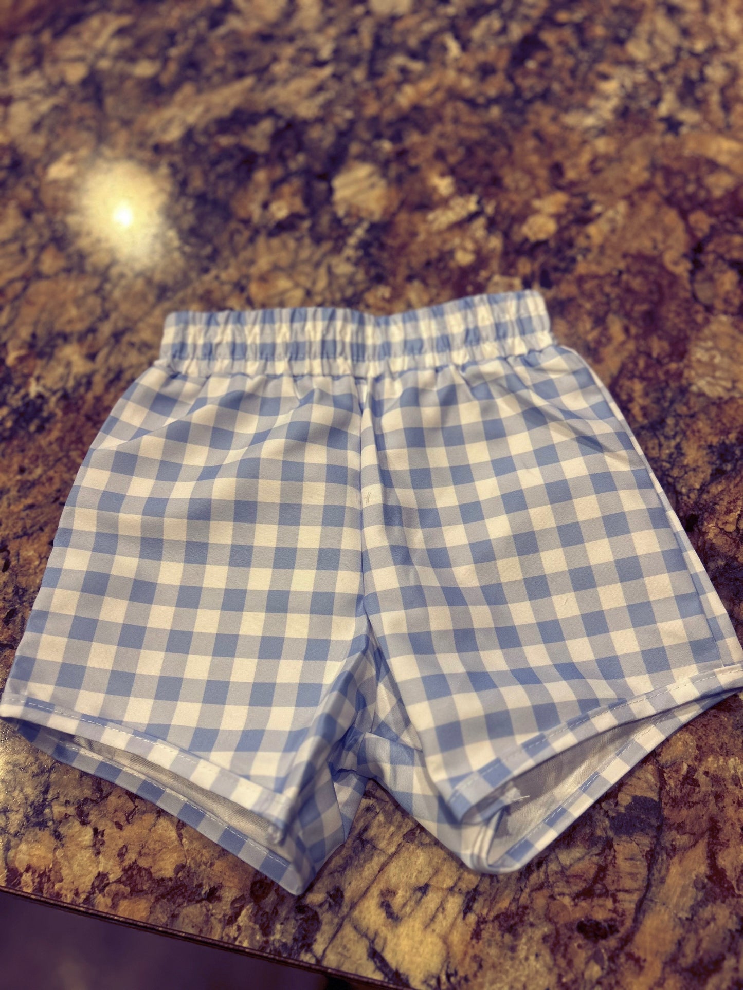 Blue Gingham